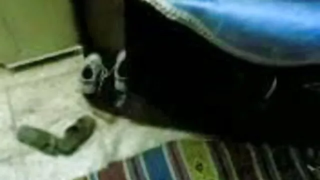 एहफराऊ मित एचडी सेक्सी मूवी हिंदी डेन काटे