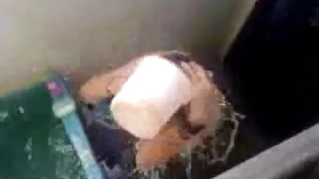 बेली - सेक्सी मूवी दिखाइए हिंदी में गला गैगर 9