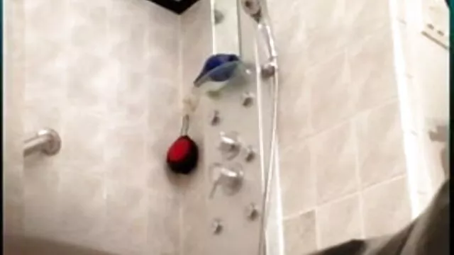 गैग फैक्टर वीडियो सेक्सी हिंदी मूवी 6.07 jk1690