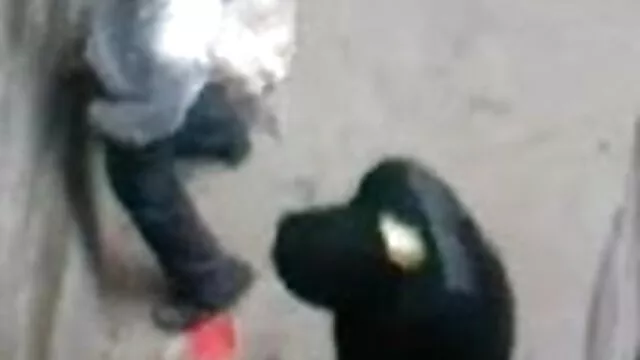 टेलर सेंट क्लेयर, बिली सेक्सी मूवी हिन्दी ग्लाइड और चेनी कोलिन्स