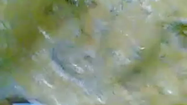 बड़ा हिंदी मूवी एचडी सेक्सी वीडियो dildo गुदा सह