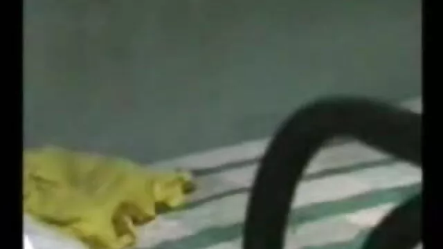 vid726853 सेक्सी मूवी फुल हिंदी