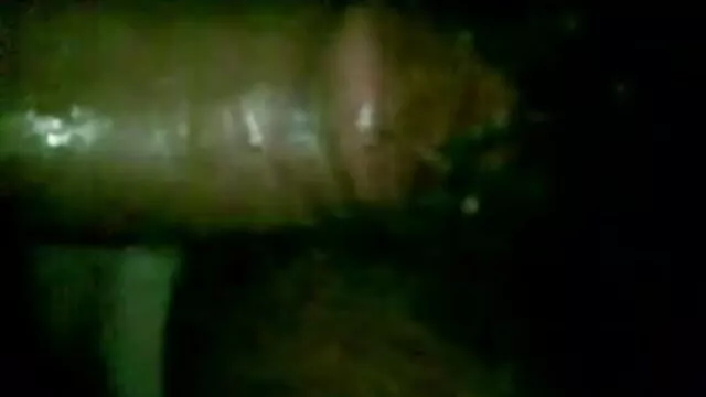 गोरा परिपक्व फुल हद सेक्सी मूवी (सिड 69)