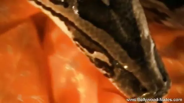 श्यामला सेक्सी मूवी वीडियो हिंदी किशोर डबल प्रवेश गुदा creampie