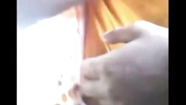 डबल हिंदी सेक्स मूवीस प्रभाव 3 दृश्य 5