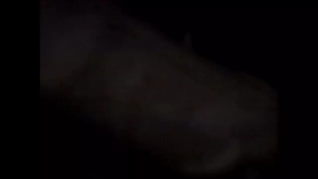 एनेट 2 के साथ हिंदी मूवी एचडी सेक्सी फोटो शूट