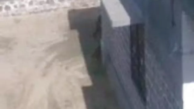 निकोल हिंदी मूवी हद सेक्सी ब्लैक IX