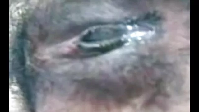 कीन्हि लेइ मुर्गा लखाई सेक्सी फिल्म मूवी में