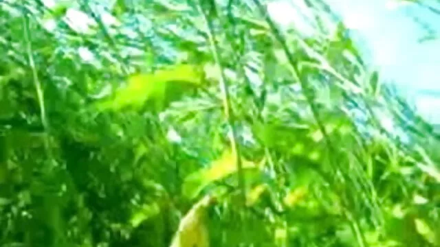 मेज फुल सेक्स हिंदी मूवी पर अद्भुत समलैंगिकों