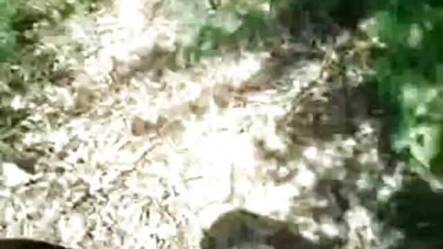 2 CamSlut बिल्ली को सेक्सी मूवी मूवी हिंदी में गधा गड़बड़ कर दिया