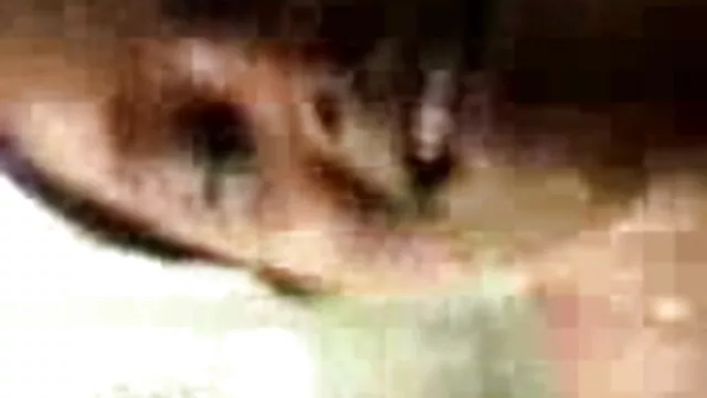 अयाना एंजेल - वीडियो हिंदी मूवी सेक्सी ब्लैक कर्वी क्यूटिस 1