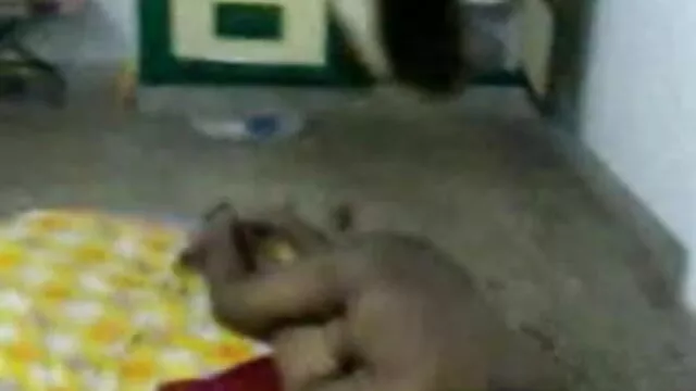 विंटेज बोर्डो सेक्सी मूवी फुल सेक्सी मूवी सेक्स