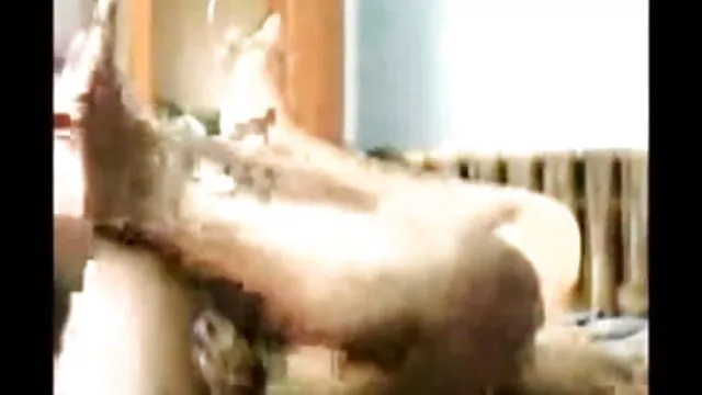 थाई स्ट्रम्पेट गर्ल हिंदी मूवी सेक्सी अनोन