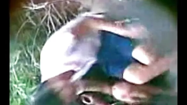 स्विंगिंग सेक्सी मूवी चाहिए हिंदी कॉन्डोमिनियम