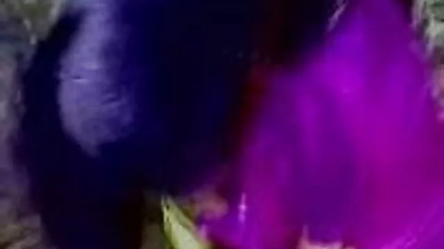 लड़की सुरक्षित ३ हिंदी इंग्लिश सेक्सी मूवी